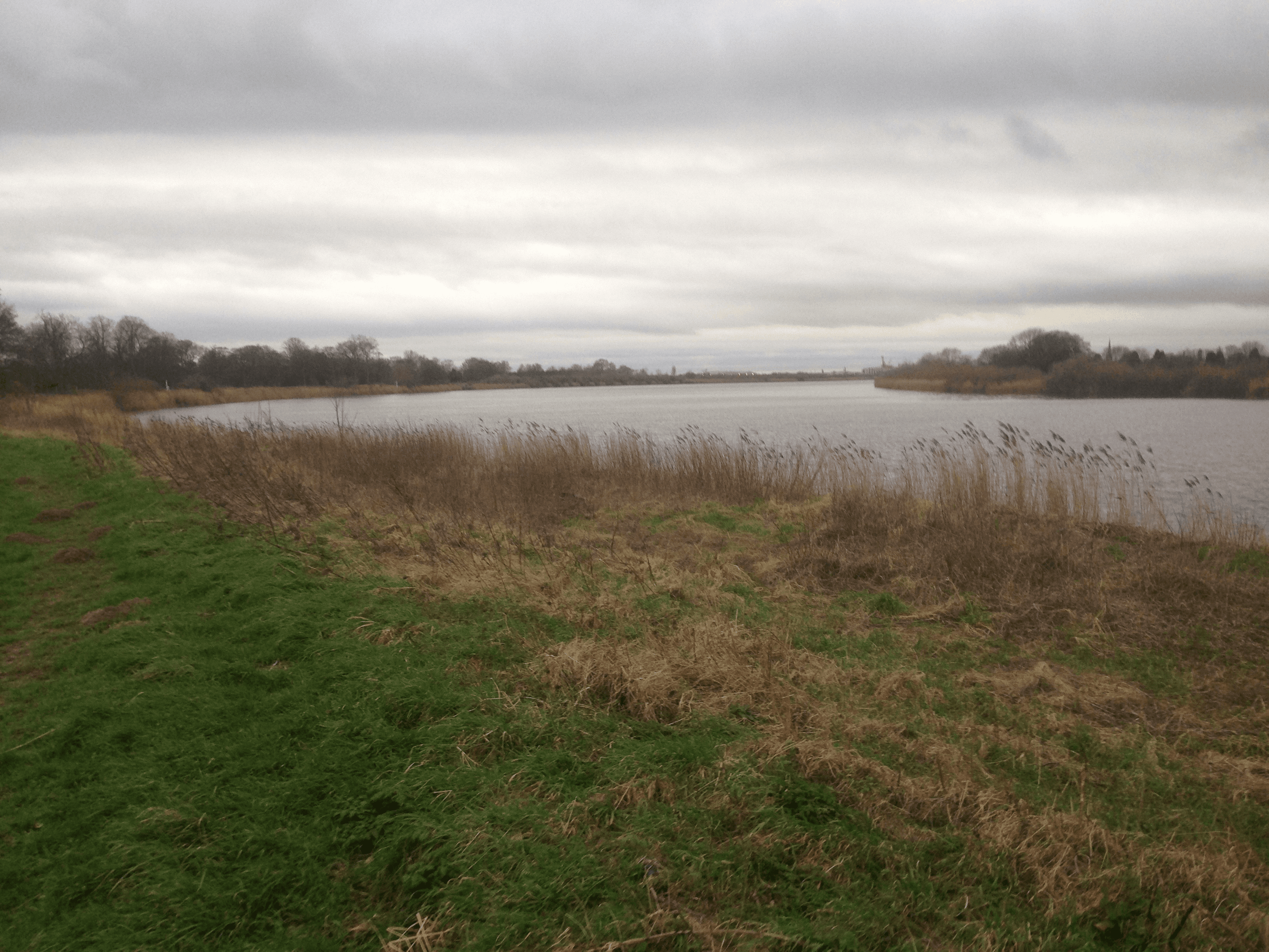 Towards-Goole-from-Skelton-side